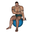Zottman Curl - Fitness Ball Single
